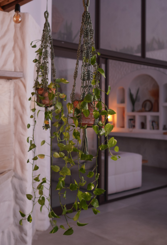 Fotos para site Macramê Essencial (10)