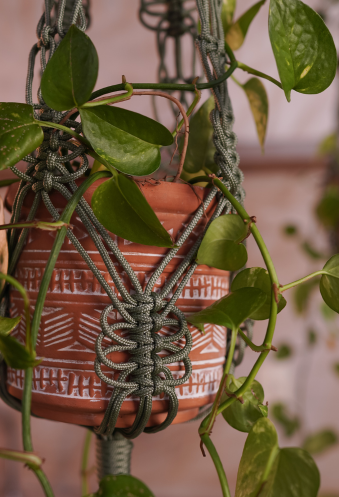 Fotos para site Macramê Essencial (9)